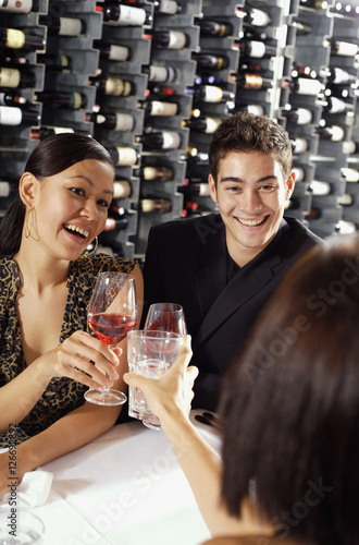 Young adults in restaurant  holding wine glasses  toasting