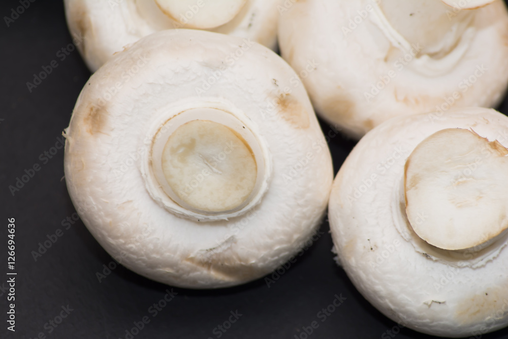 Lot of mushrooms on black background Lot of mushrooms on black background