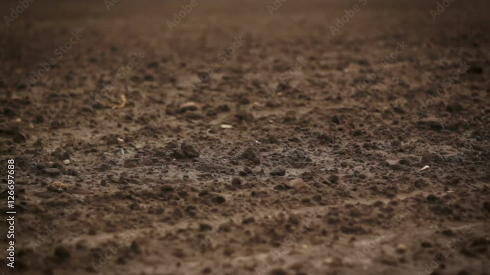Camera slide over plowed soil on the empty field at the end of autumn Camera slide over plowed soil on the empty field at the end of autumn