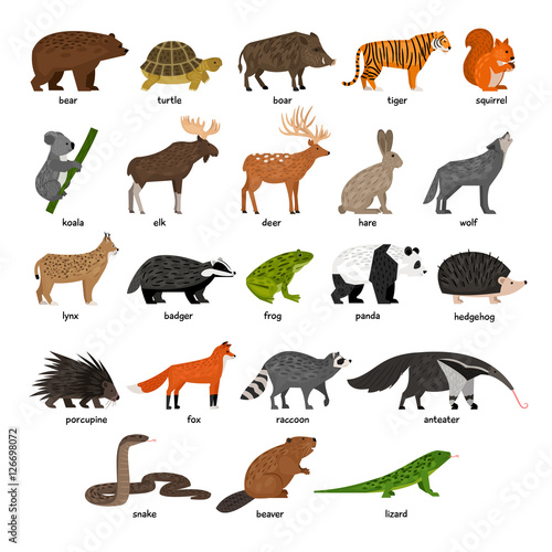 Collection of Forest wild animals