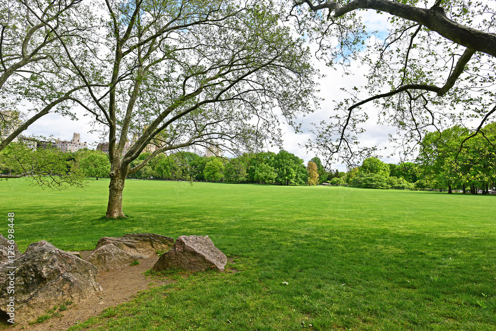 Sheep Meadow in Central Park New York City. Sheep Meadow in Central Park New York City.