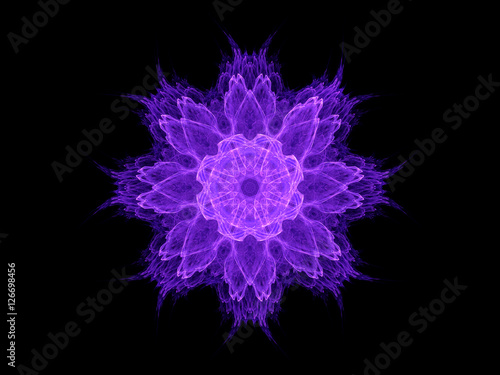 Digital abstract fractal purple flower on black background