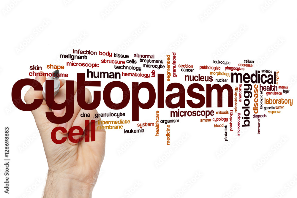Cytoplasm word cloud Cytoplasm word cloud