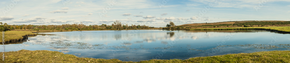 Pond , New Forest