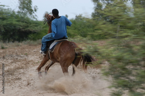 Horse and Rider near Lake Rose, Senegal