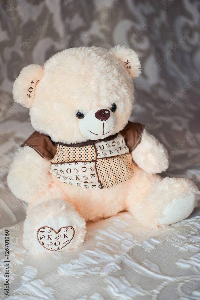 Cute teddy bear sitting