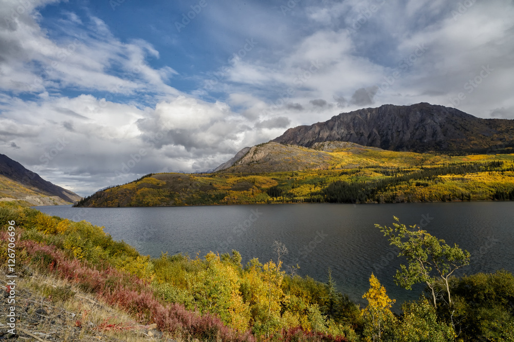 Indian summer landscape in the Yukon in Canada with thousands of colors along a lake at the Klondike Highway