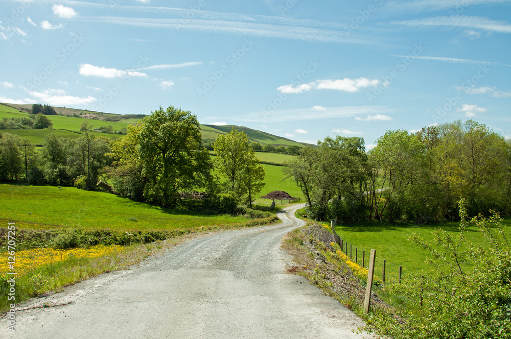 Summertime down a country lane in the British countryside. Summertime down a country lane in the British countryside.