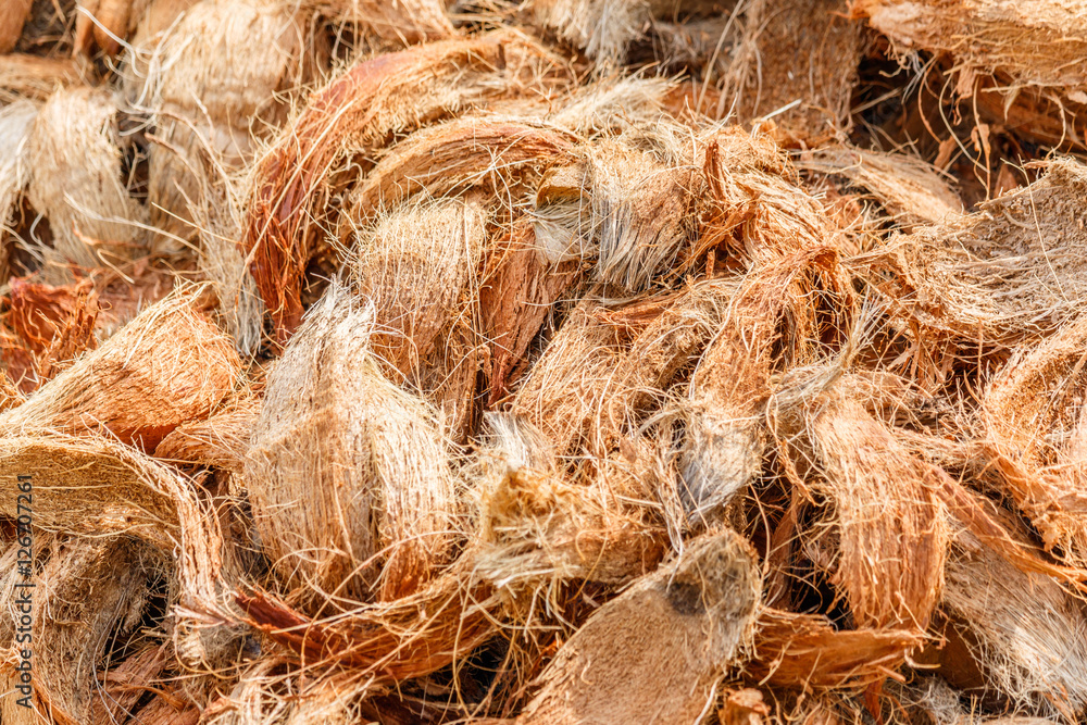 Closeup coconut spathe fiber for texture background. Closeup coconut spathe fiber for texture background.