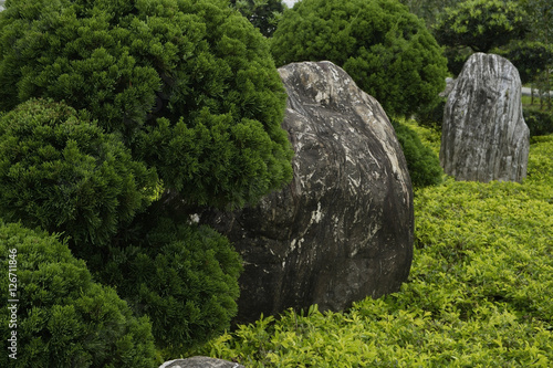 Landscape with rocks at background