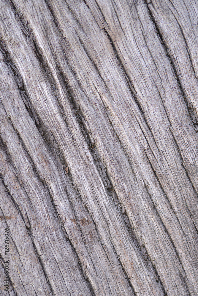 Old wood background Old wood background