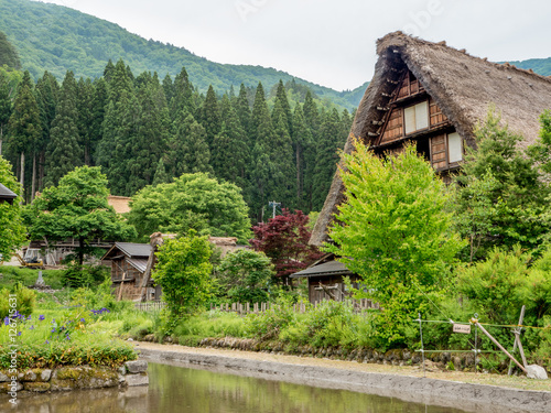 traditional thatched roof house, Shirakawa-go, Japan