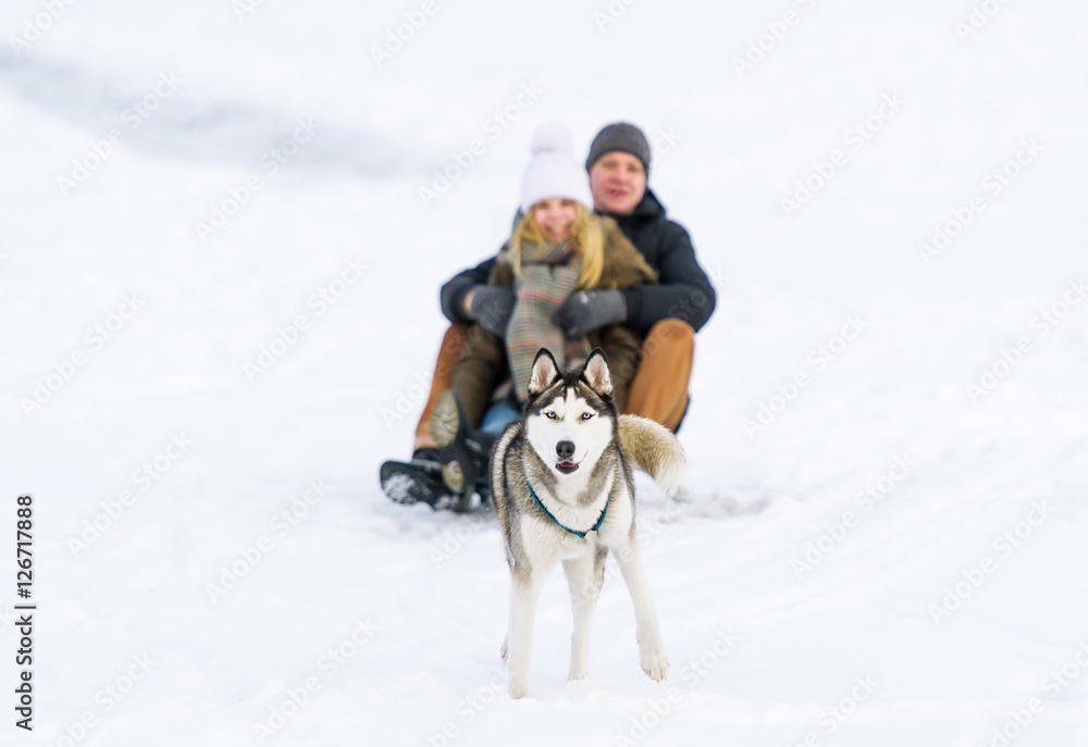 Happy couple sledding with toboggan and dog in winter