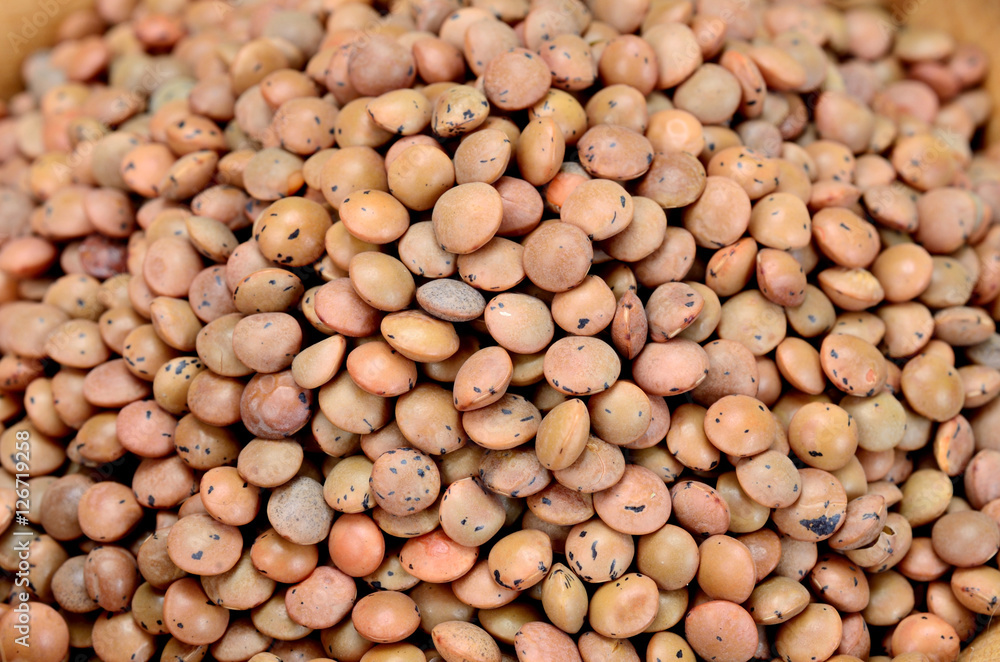 lentil on table lentil on table