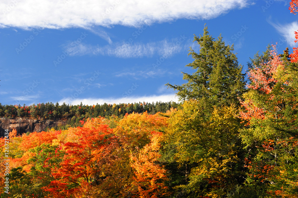 colorful autumn mountain and forest