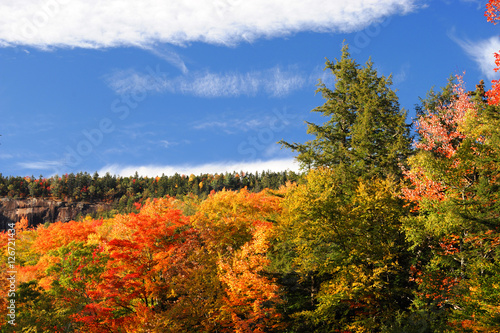 colorful autumn mountain and forest © nd700