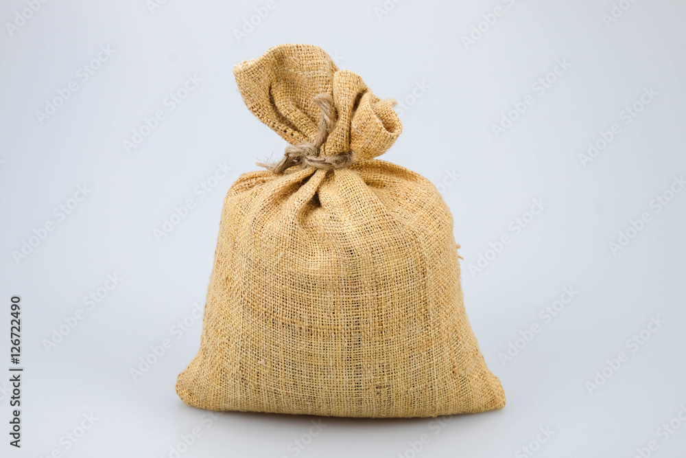 business finance. save money for investment concept money bag business finance. save money for investment concept money bag