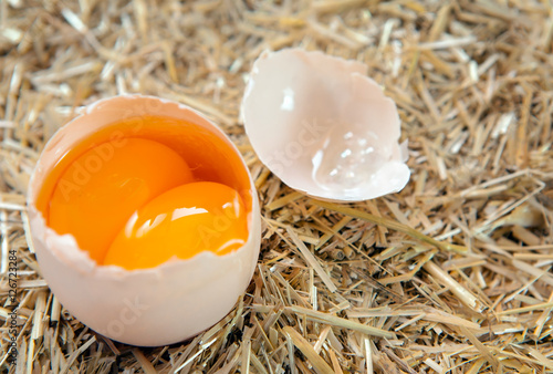 Cracked egg with double yolks isolated straw background (country egg)