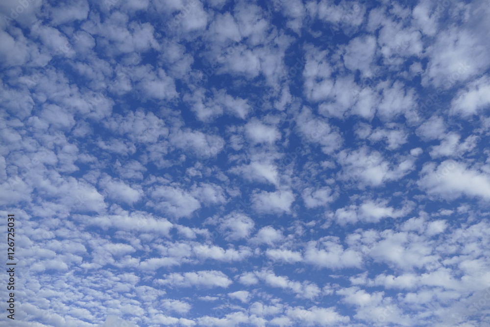 秋の空 秋の空