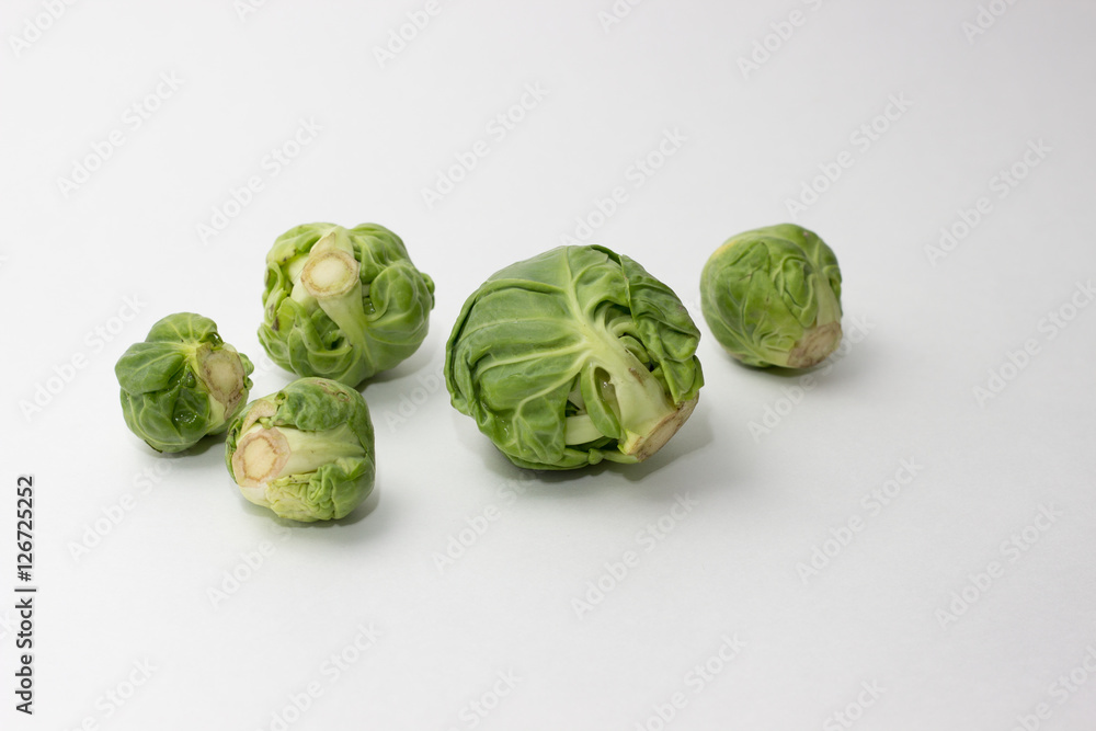 isolated brussels sprout isolated brussels sprout