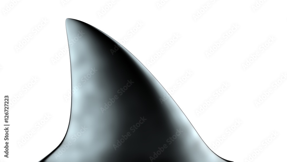 Fototapeta premium Płetwa rekina ilustracja 3d