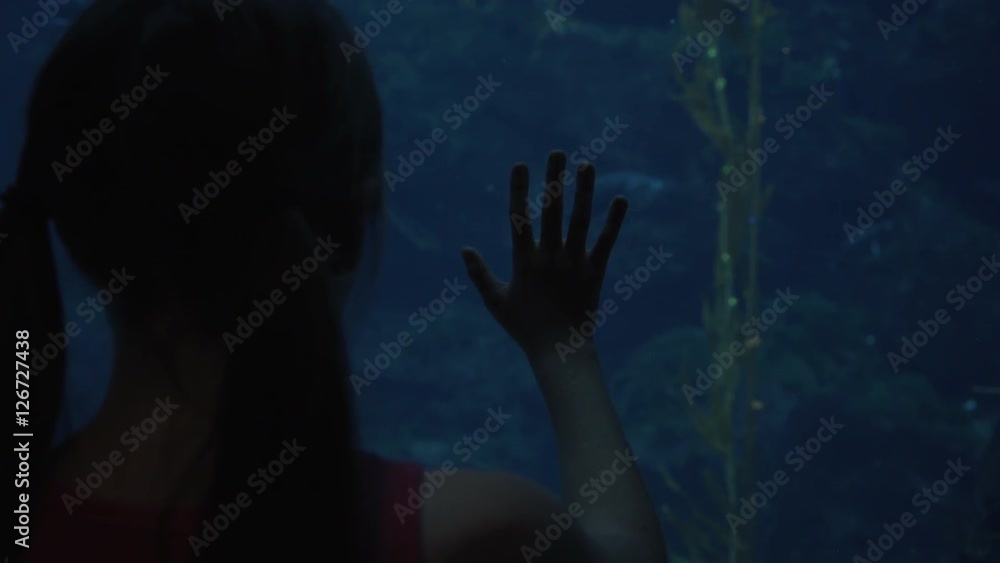 Leopard Shark in Aquarium With Child Silhouette Leopard Shark in Aquarium With Child Silhouette