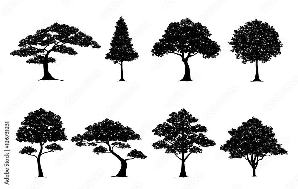 Obraz premium drzewo sylwetka zestaw