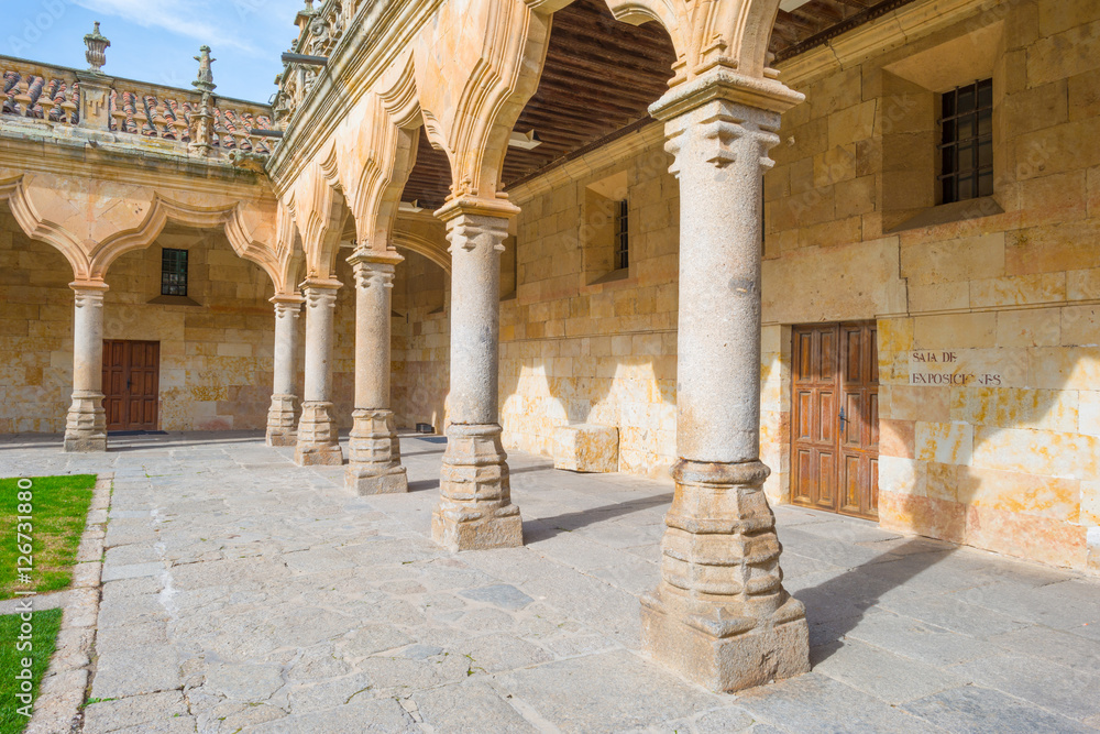 Historic building of the city of Salamanca