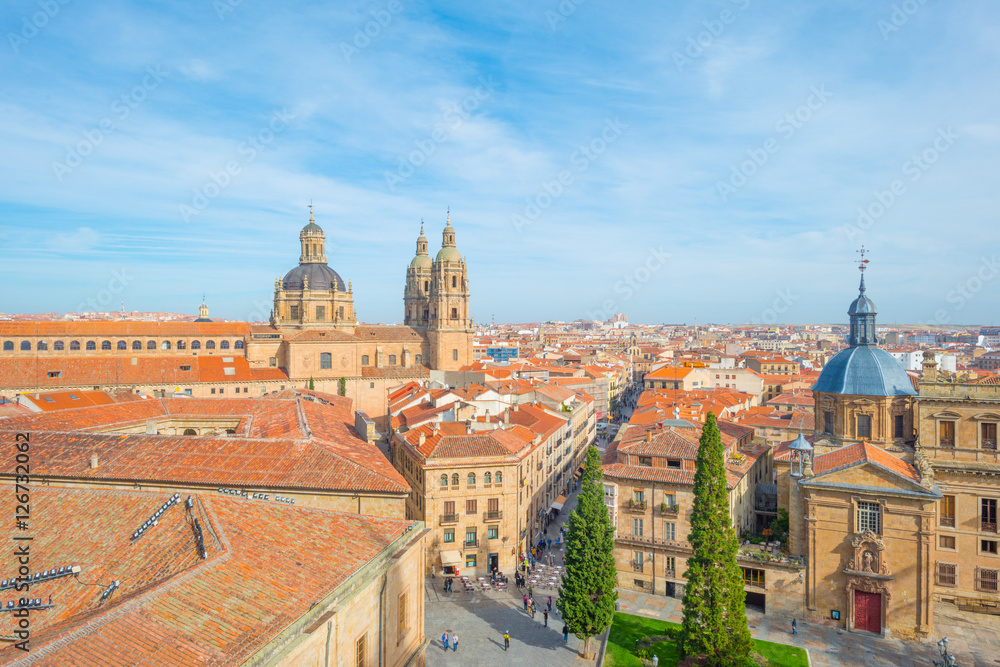 Historic building of the city of Salamanca