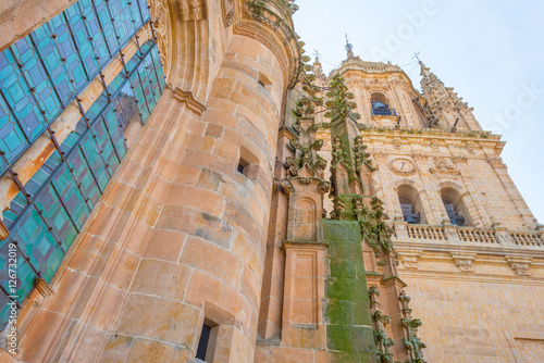 Detail of the medieval cathedral of Salamanca