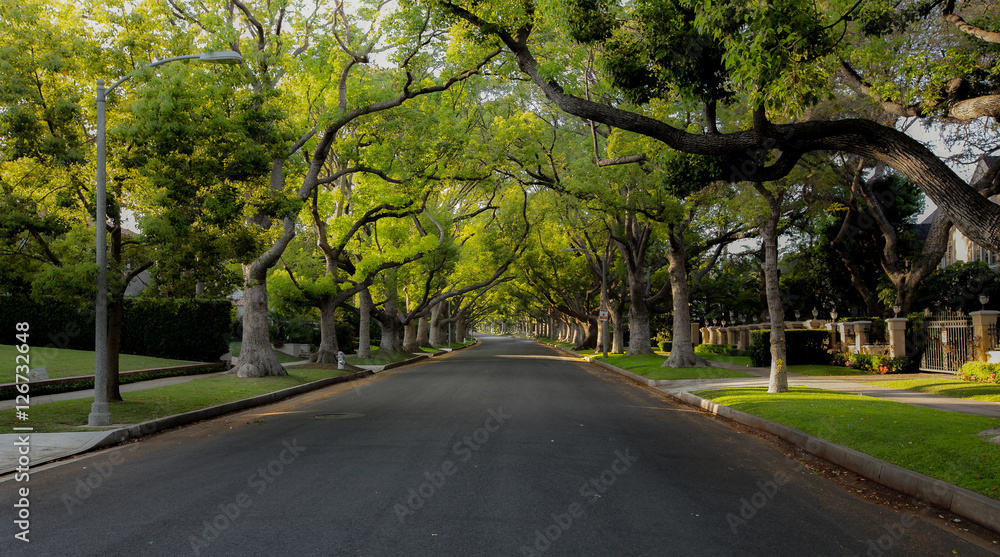 Foto Beverly Hills