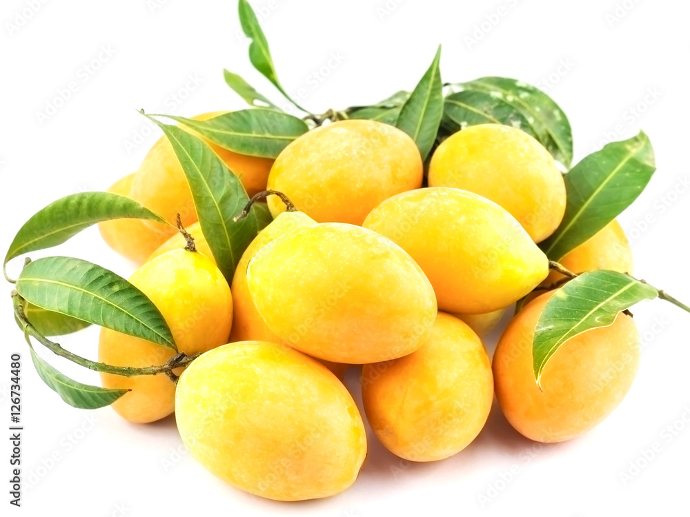 Ma prang, mayongchid, plum mango, marian mango or bouea macrophylla with its leaves, selective focus over white background Ma prang, mayongchid, plum mango, marian mango or bouea macrophylla with its leaves, selective focus over white background