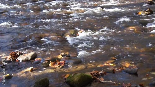 Smoky Mountain Fall Stream VI