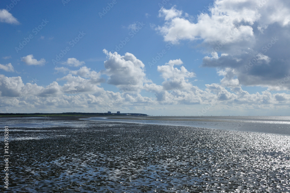 Obraz premium Wattenmeer