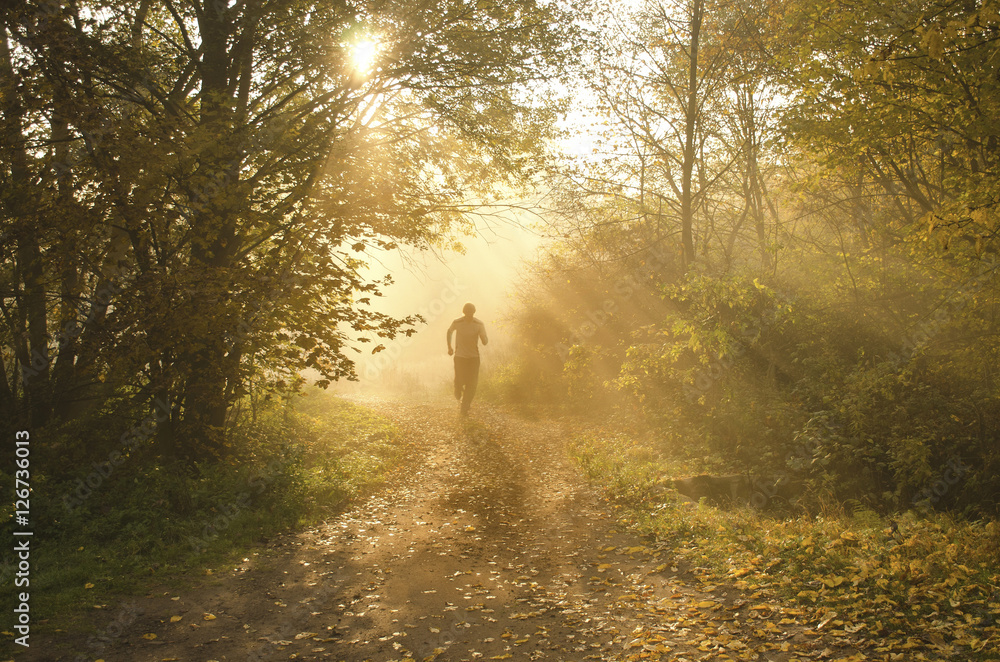 Runner is running through misty morning autumn forest during wonderful calm sunset - obrazy, fototapety, plakaty 