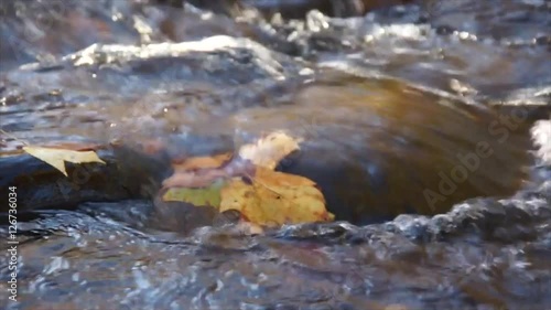 Smoky Mountain Fall Stream XIII