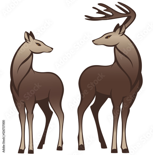 pair of deer standing - color vector design