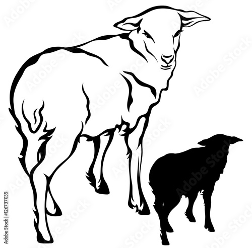 lamb outline and silhouette black and white vector design