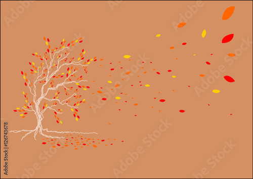 Baum im Herbst_1