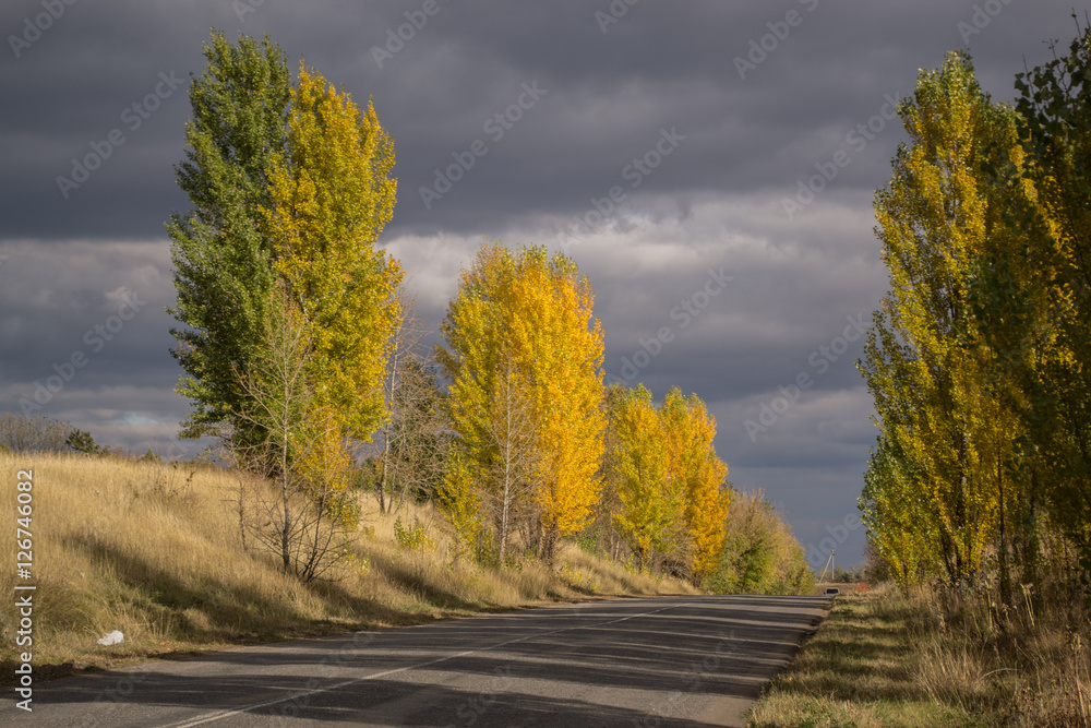 Naklejka premium Autumn Ukrainian road