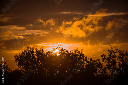 Orange autumn morning sunrise over the trees © Tkachenko Alexey