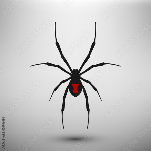 Spider widow icon. Vector isolated.