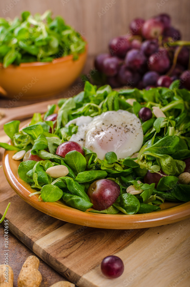 Lamb lettuce salad Lamb lettuce salad