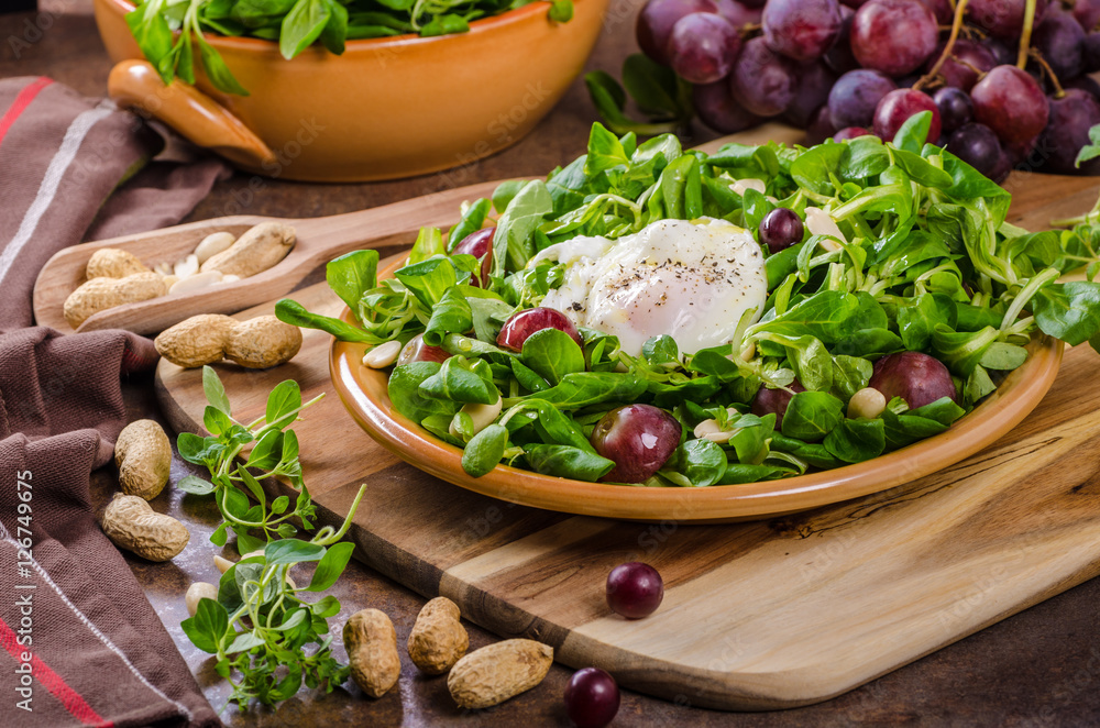 Lamb lettuce salad Lamb lettuce salad