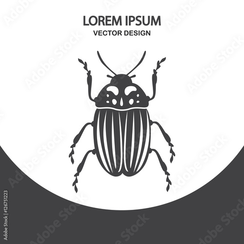 Colorado beetle icon. Simple design for web and mobile