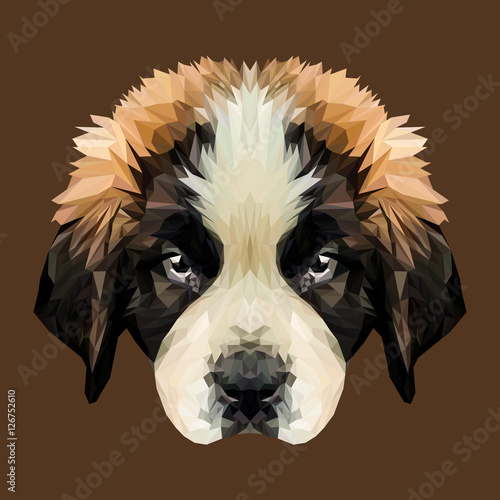 Saint Bernard puppy dog low poly design. Triangle vector illustration.