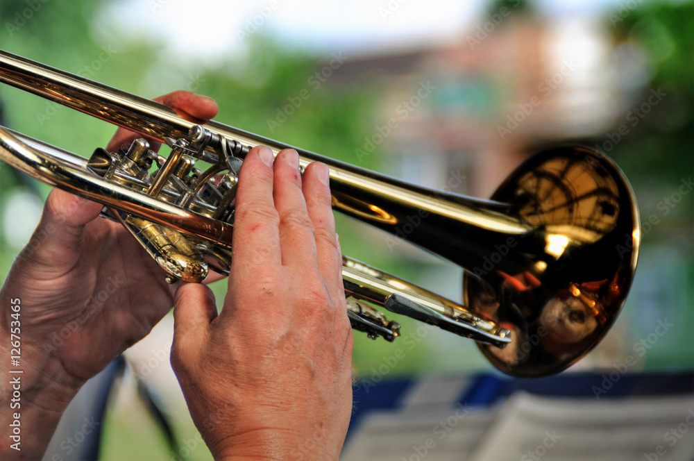 Obraz premium Trompeter