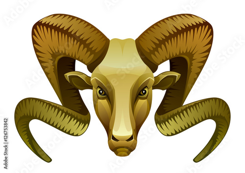 Golden ram