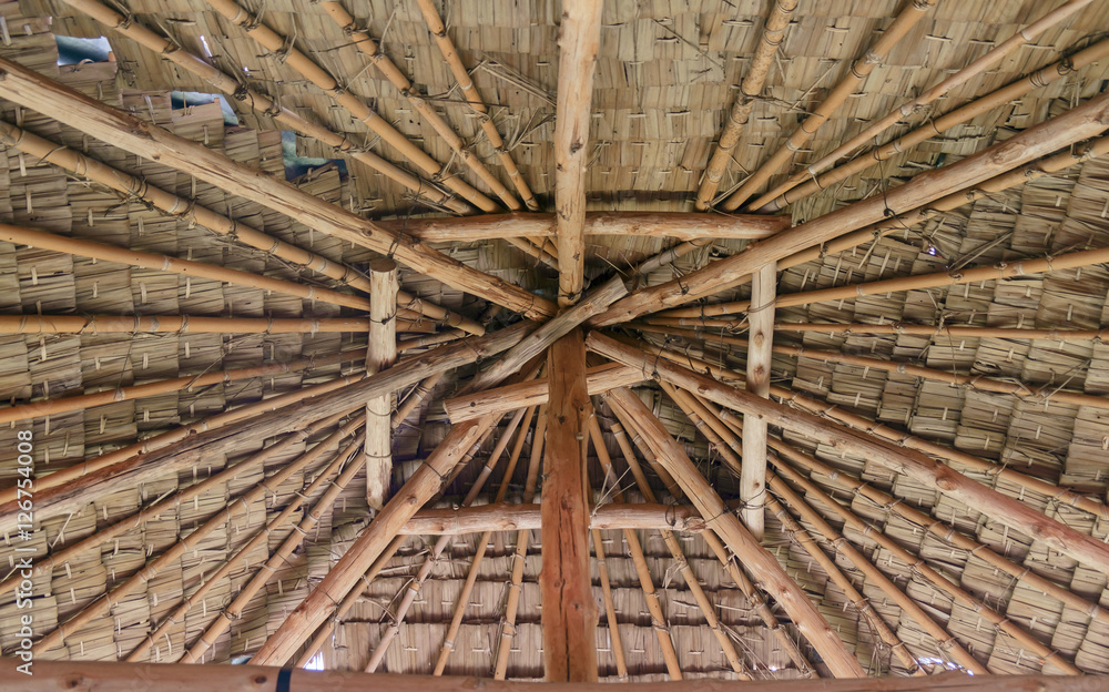 Roof / View of under thatched roof of hut.