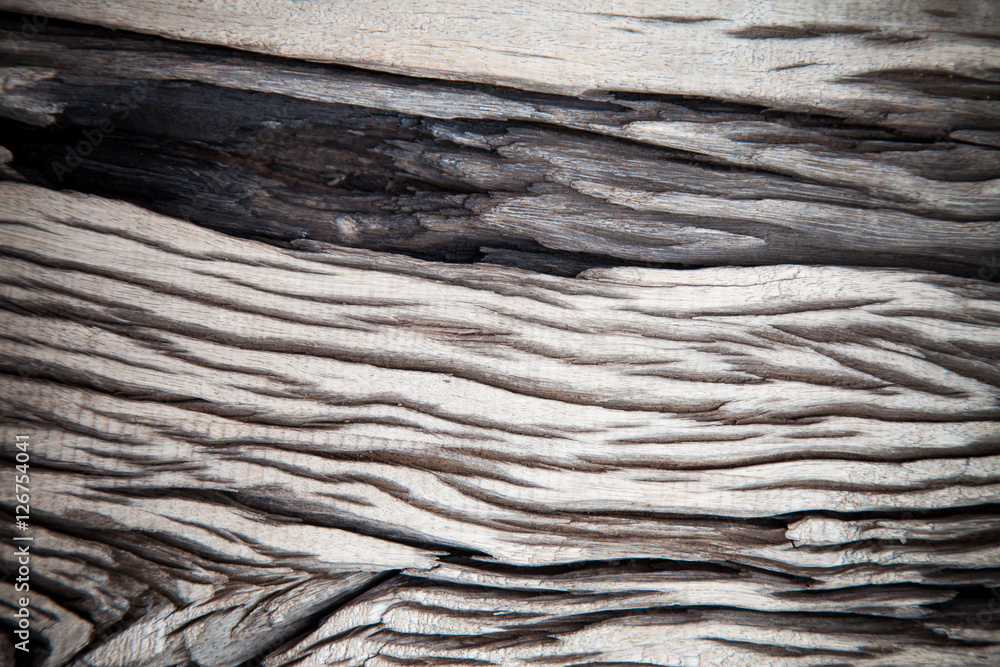 Fototapeta premium Old wooden pattern, Wood decay